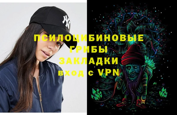 шишки Липки