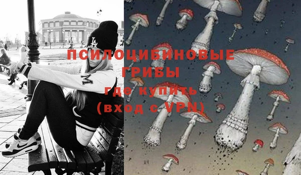 герыч Лиски