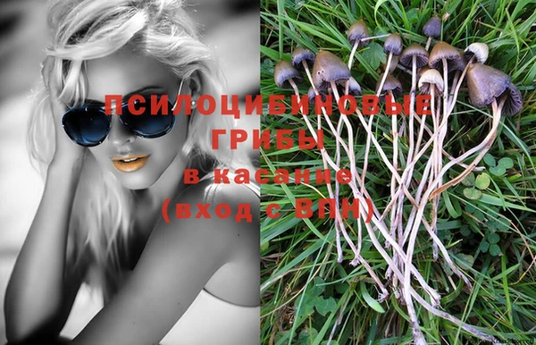 герыч Лиски