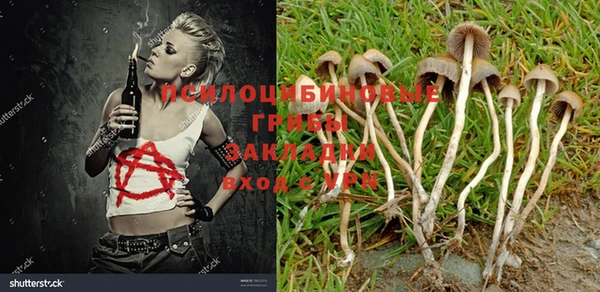 шишки Липки