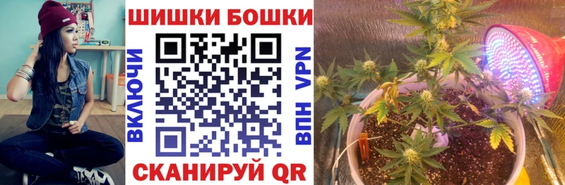 Купить закладки  Калининец  Бошки Шишки SATIVA & INDICA 